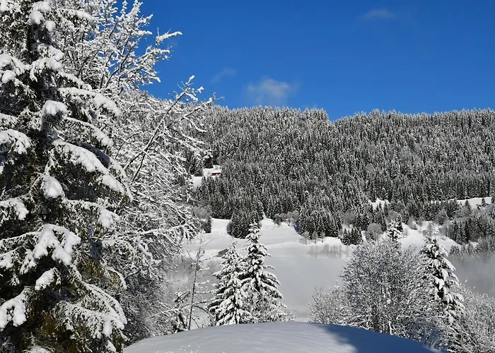 Chalet Orlando Les Gets