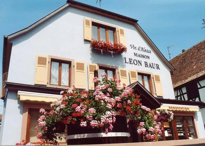 Villa Le Victoria à Eguisheim, 4-6 p, 3étoiles Privée