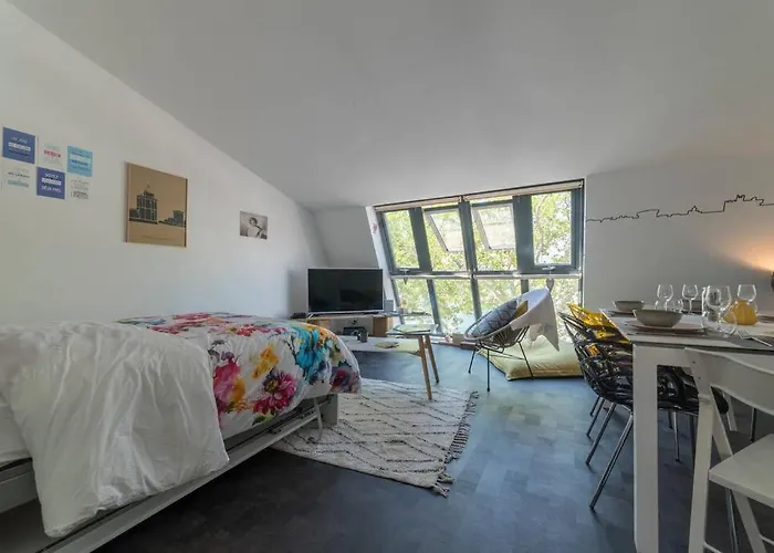 Appartement le Gabut vue port à La Rochelle 