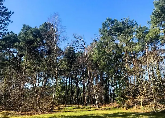 La sérénité dans un cocon de verdure Le Touquet-Paris-Plage