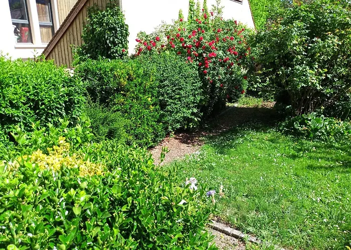 Appartement L'essentiel de Chartres