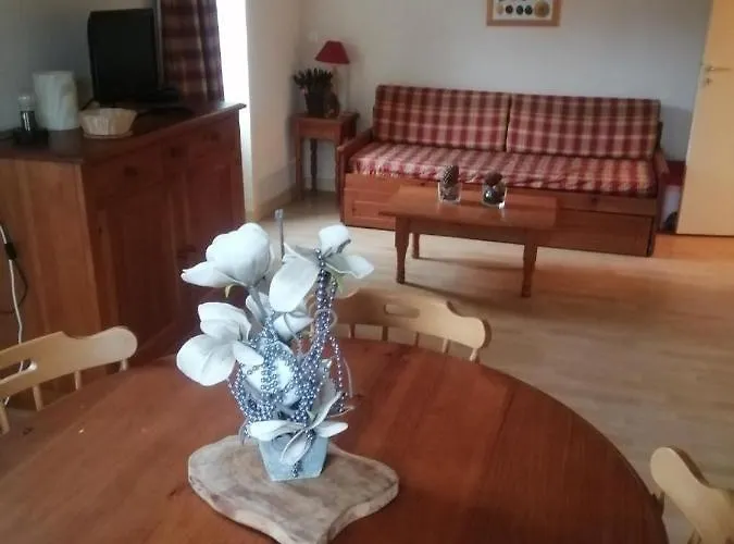 Appartement De Standing - La Bourboule acceptant les animaux
