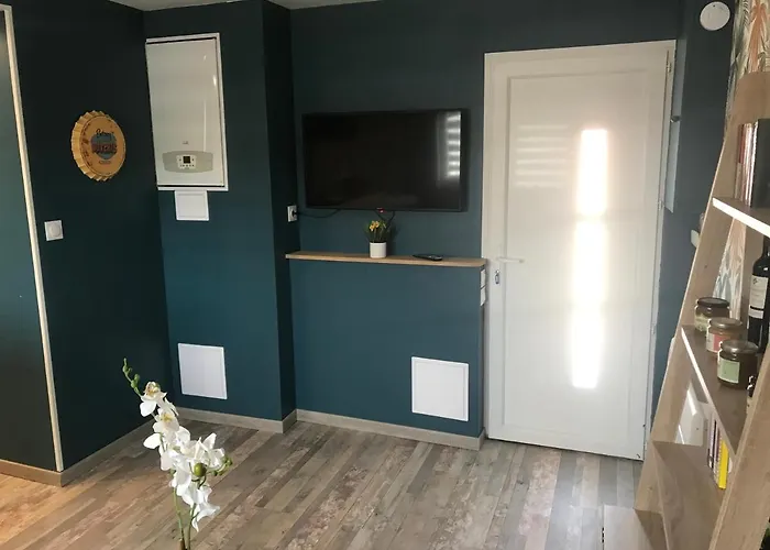 Appartement neuf avec jardin privatif Périgueux