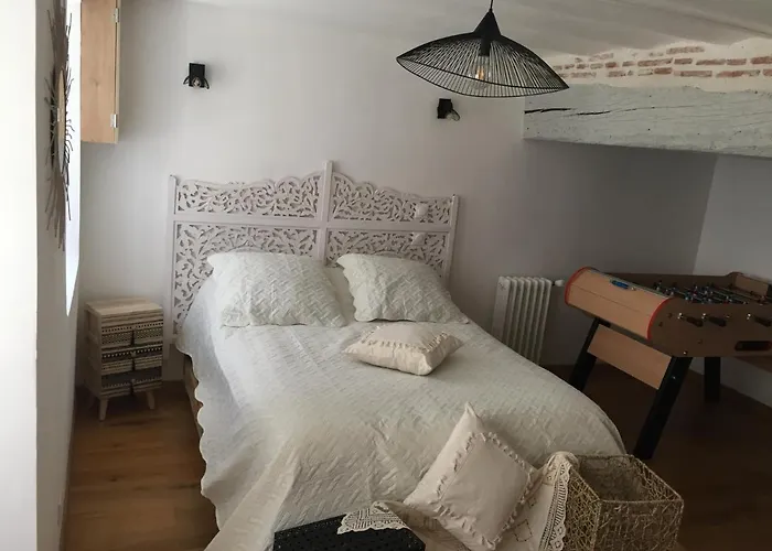 Villa L'Escale Du Moulin Rouge à Beaugency
