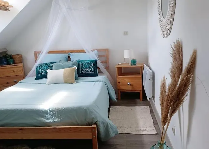 Villa Agreable Duplex Gare à Le Mans Privée