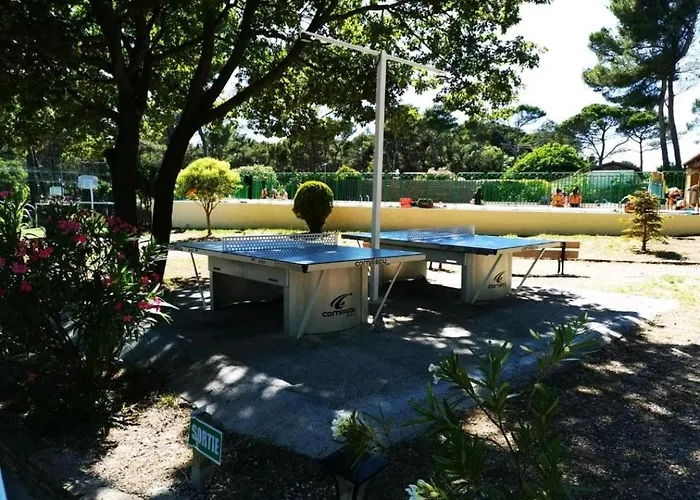 Au Petit Paradis Le Castellet  Privée