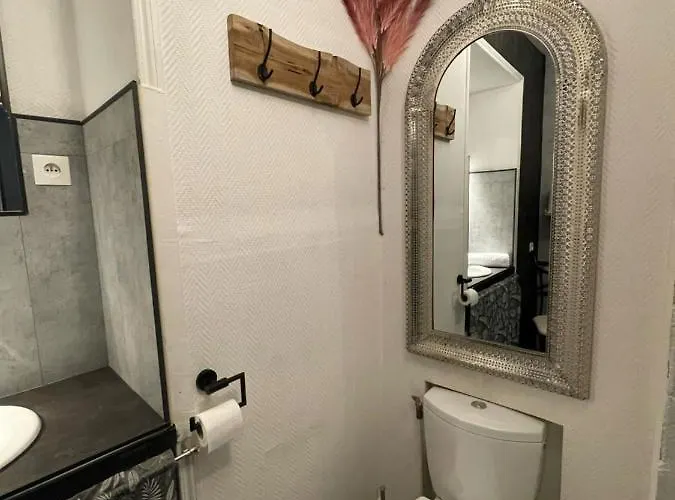 Boutique Appartement Le studio du Lys, 5 mn de Beauval à Saint-Aignan 