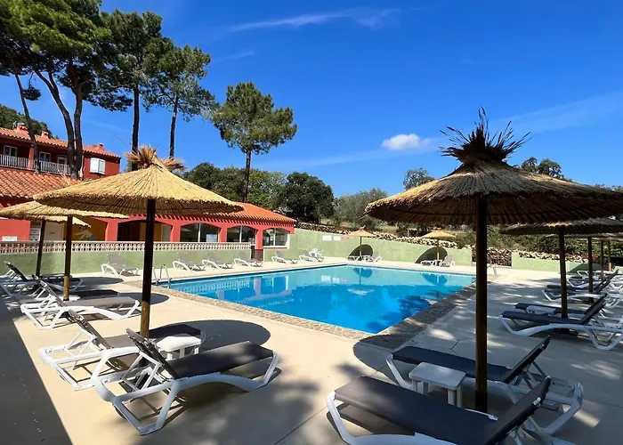 Camping Des Mimosas Argelès-sur-Mer acceptant les animaux