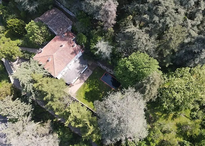 Villa Domaine De Charme Avec Piscine à Vienne 
