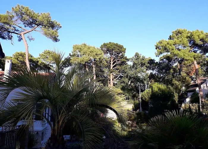 Belle de Dune La Baule-Escoublac