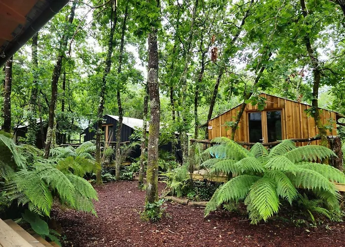 Lège-Cap-Ferret Glamping