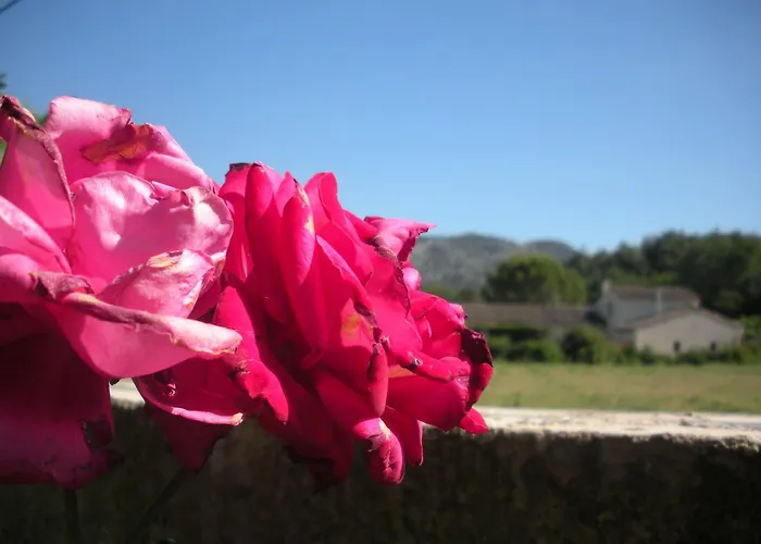 Saint-Rémy-de-Provence 