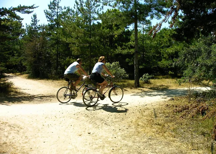 Camping La Forêt Saint-Jean-de-Monts