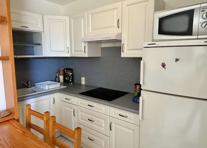 Appartement 2 Pieces Avec Terrasse Et Parking A 150M De La Mer - Fr-1-225-451 Argelès-sur-Mer acceptant les animaux
