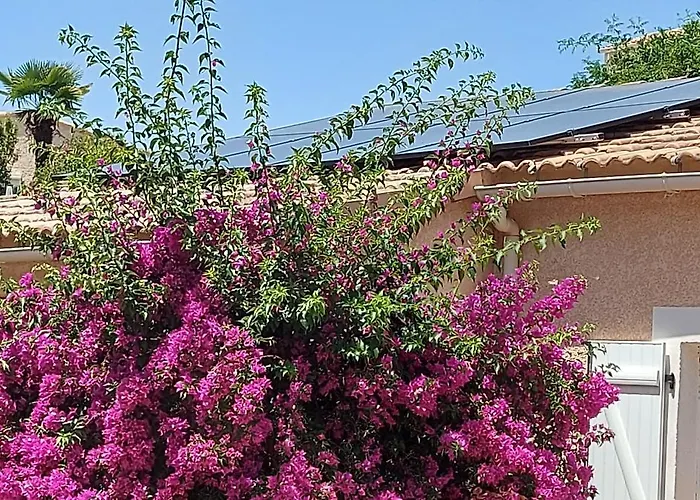 Villa Les hauts de Benista Porticcio 
