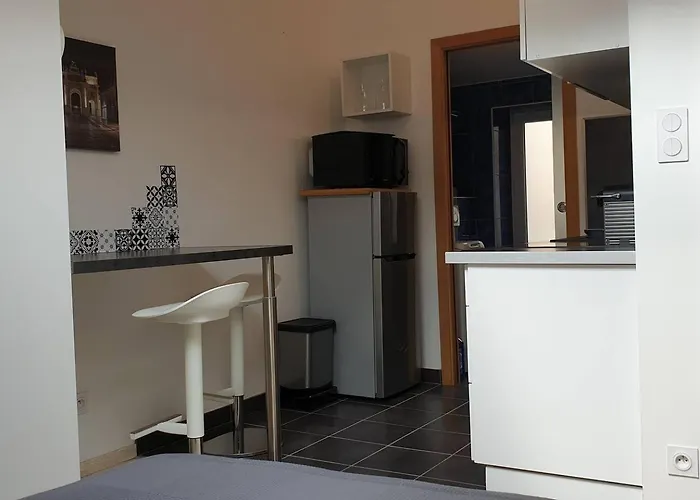 joli studio calme coeur de ville Nancy