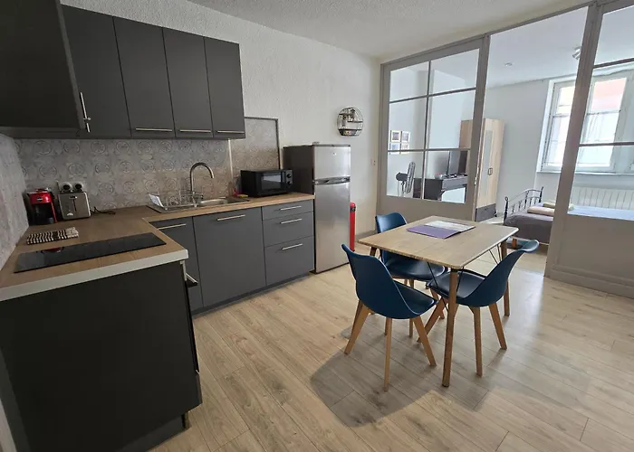 Appartement Au Calme Idealement Place A Macon.