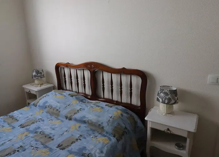 Appartement Lumineux A Royan - Proche Gare Et Plage, 6 Pers., Terrasse, Animaux Admis - Fr-1-738-24