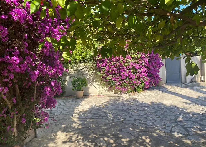 Villa Mas Catalan avec piscine 12 à 15 personnes à Argelès-sur-Mer avec Piscine