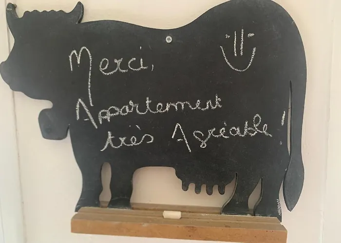 Appartement Cosy en plein cœur du Touquet à Le Touquet-Paris-Plage