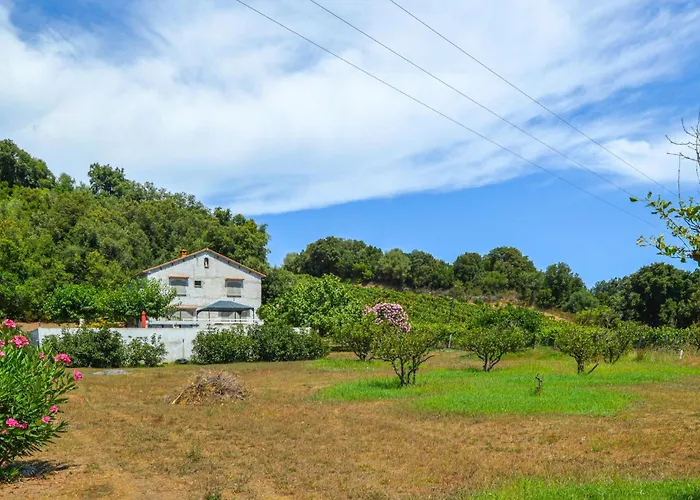Amazing Home In Giuncaggo With Wifi Aléria acceptant les animaux