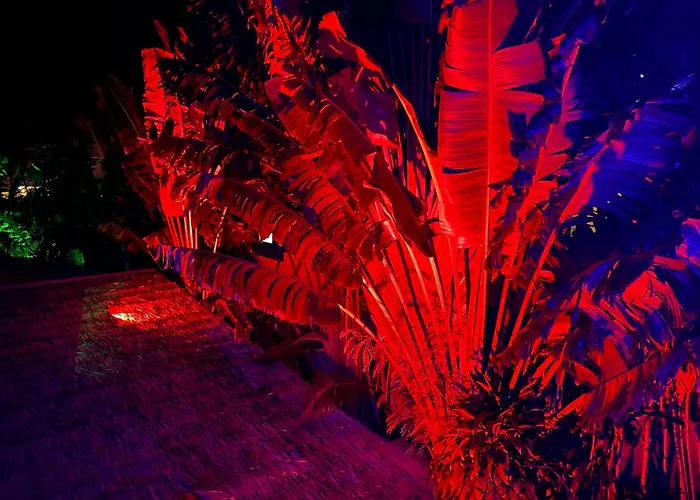 Plage de Lamai Location Villa