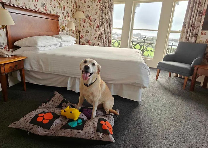 Plymouth Hotel Pour Enfant