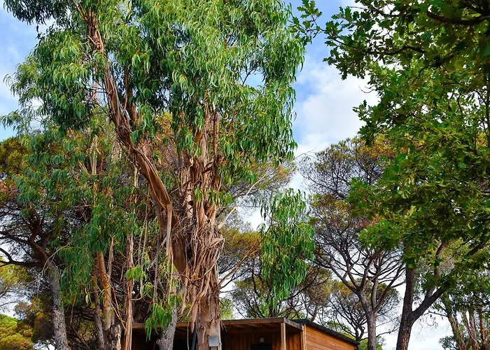 Saint-Tropez Glamping