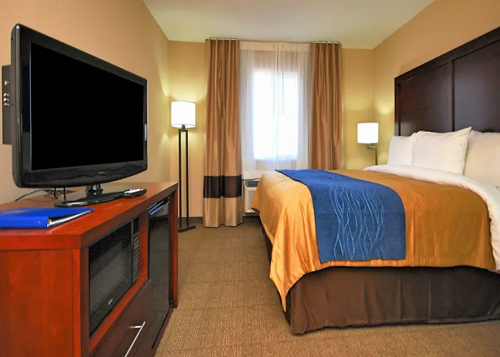 Boutique Comfort Inn Albuquerque Airport