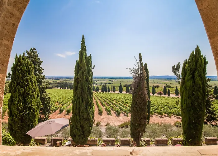 Hostellerie du Château des Fines Roches Châteauneuf-du-Pape acceptant les animaux