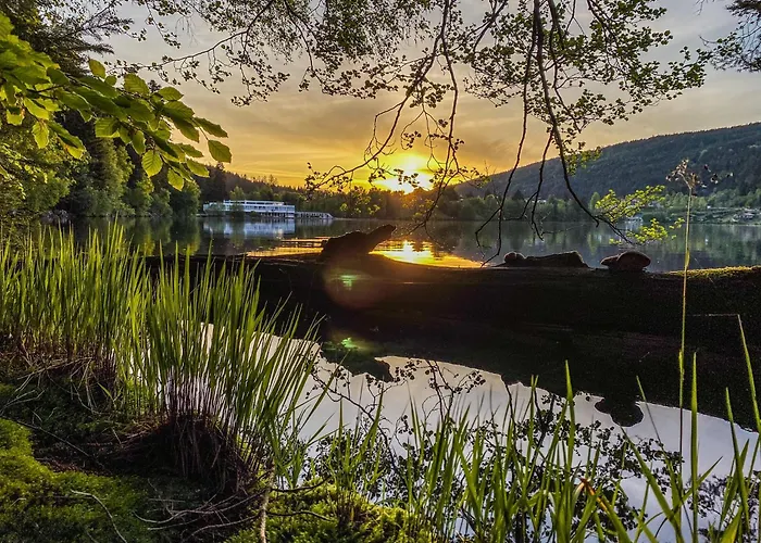 Appart'Hôtel Lido Gérardmer acceptant les animaux