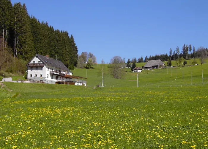 Gasthaus Pension Donishaeusle Titisee-Neustadt