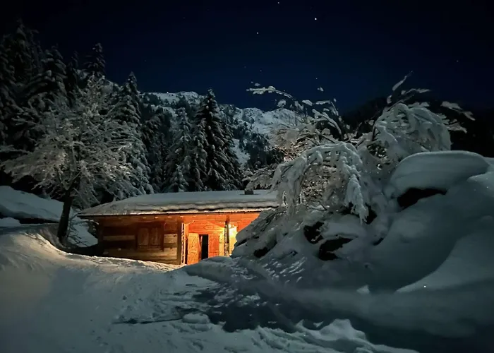 Chalet cosy sur pistes avec cheminée, terrasse et studio indépendant pour 14 pers. - FR-1-342-239 Beaufort  Privée