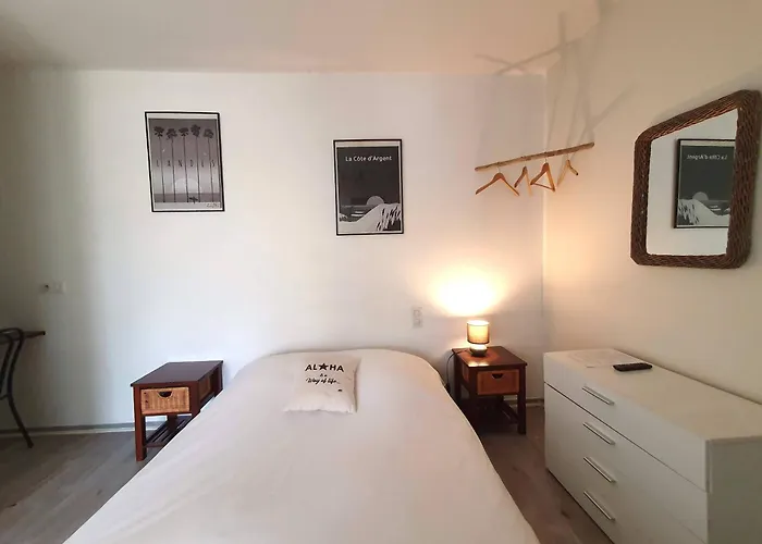 Hôtel La Cote d'Argent Seignosse acceptant les animaux