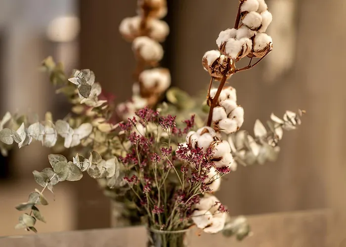 Boutique Grand Plaza Hotel & Wellness Andorre-la-Vieille