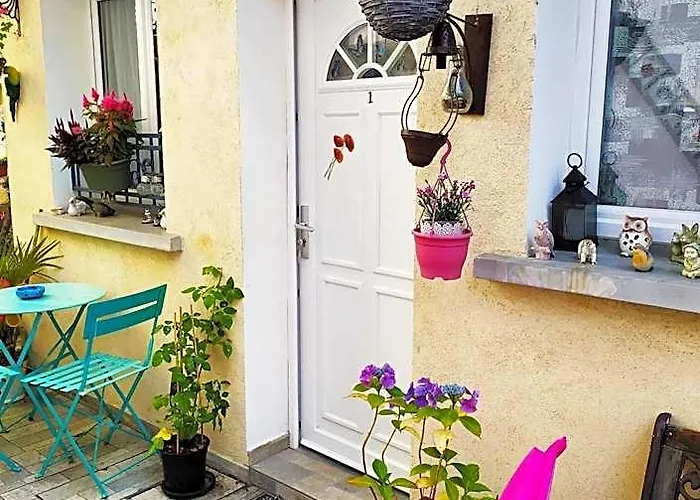 Hotel Les Coquelicots à Montrouge acceptant les animaux