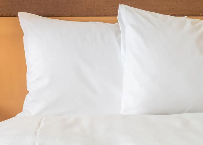 Holiday Inn Express Toulouse Airport By Ihg Blagnac acceptant les animaux