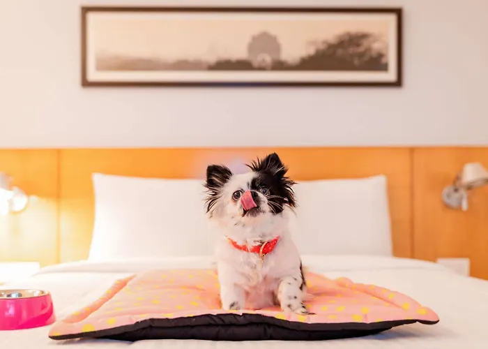 Boutique Hotel ibis Nantes Centre Gare Sud