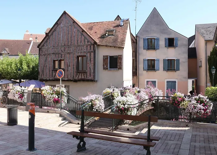 Hotel Ibis Montargis