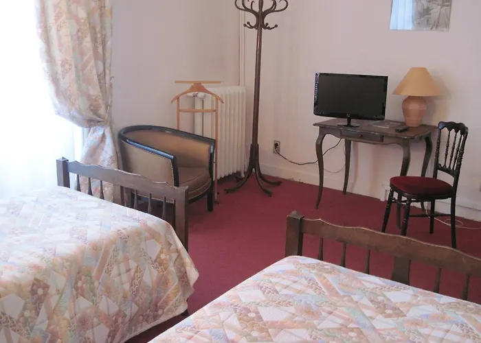 Hotel Des 3 Marchands Nantes acceptant les animaux