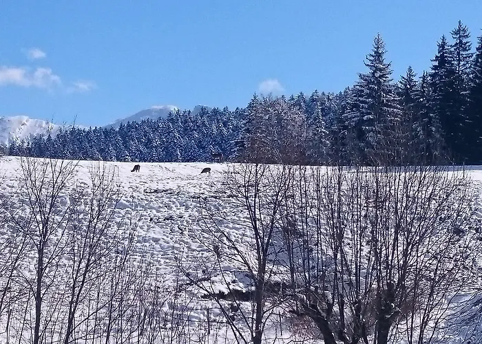 Hotel La Ferme du Bois Barbu à Villard-de-Lans