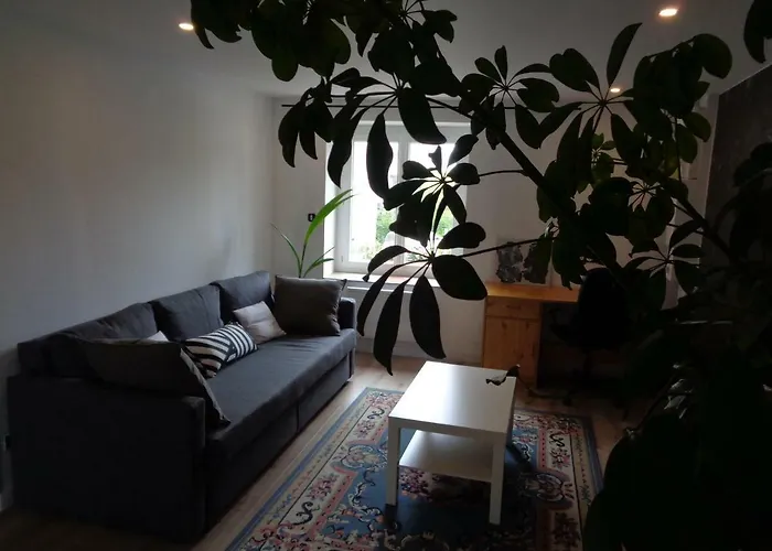 Appartement indépendant LE PANASSA, Centre ville, Garage privé Saint-Etienne  acceptant les animaux