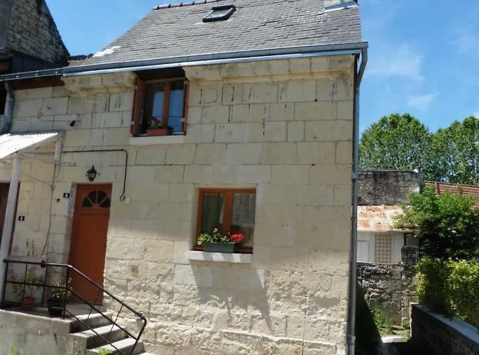 Gîte Chemin des Prés r de Pré Vert Chinon