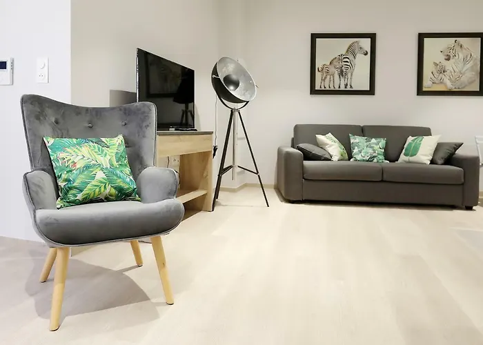 Appartement Le Porta 5 à Albi acceptant les animaux