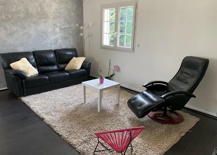 CASABINA Appartement entre Disney et paris Chelles  acceptant les animaux